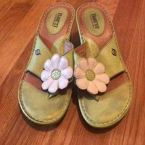 Born Daisy wedge